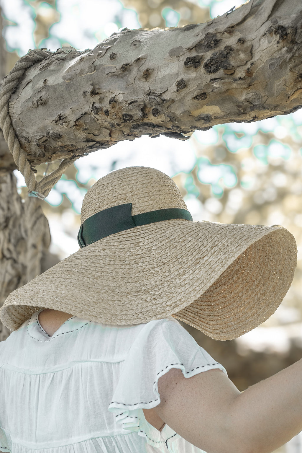 Crystal Birch | Wheat Straw in Hat | Sahara | Plain